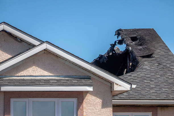 Top rated local Fire Damage Removal specialists in Thonotosassa, FL
